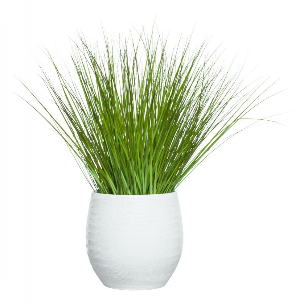 Grass in Stella Pot / Greenery Plant - $230 | Linen Pear Home